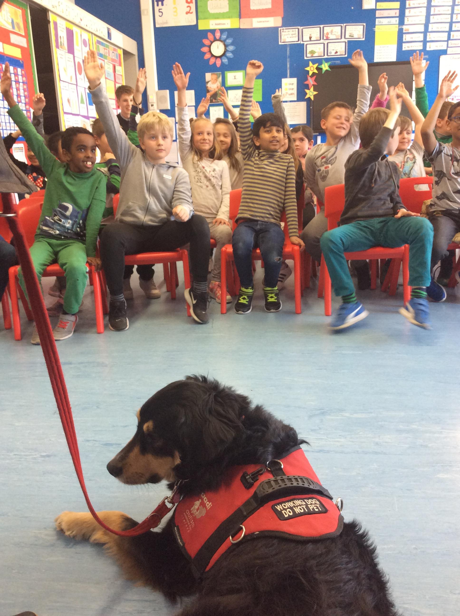 autism-assistance-dog-powerstown-educate-together-national-school