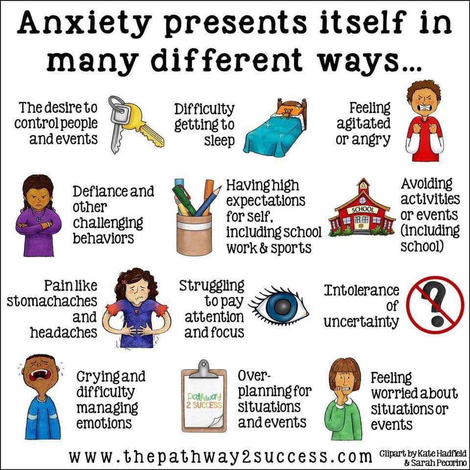 Webinar: Understanding Anxiety – Powerstown Educate Together National ...